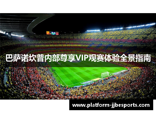 巴萨诺坎普内部尊享VIP观赛体验全景指南